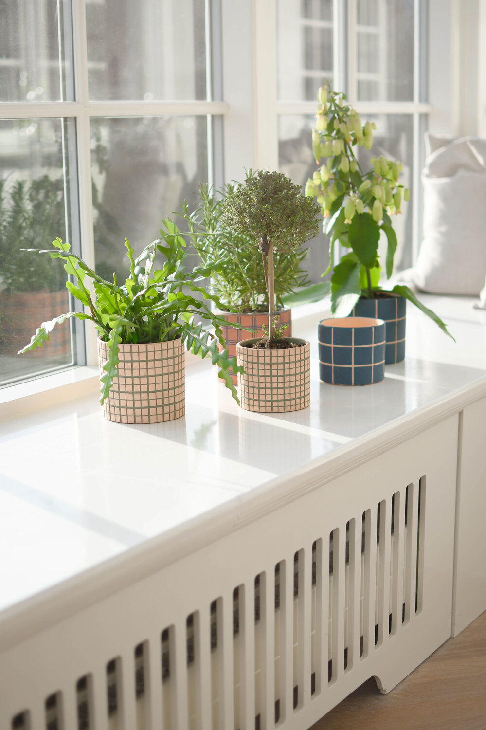 Urtepotteskjuler med store tern, blå/rosa - H10 cm.